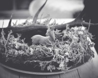 Natural Wreath for Winter Season