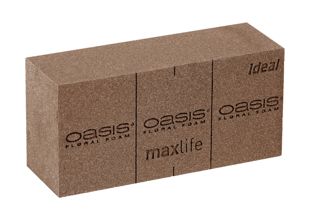 Oasis Bio Maxlife Wet Foam Bricks box of 20 or 4 bricks Fresh Flower Floristry 
