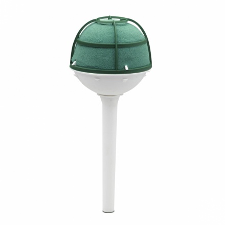 OASIS® Princess I