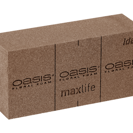 OASIS® BIO Floral Foam Brick