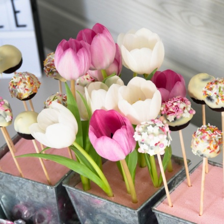 Cake Pops holder