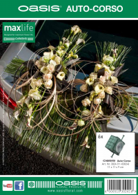 OASIS® Auto-Corso Flyer