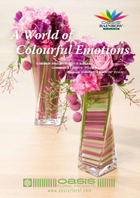A World of Colourful Emotions