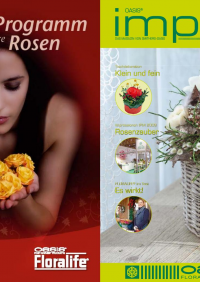 Impuls Magazine Germany 26